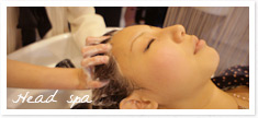 Head spa