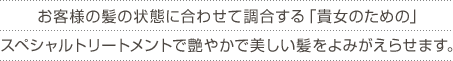お客様の髪の状態に合わせて調合する「貴女のための」スペシャルトリートメントで艶やかで美しい髪をよみがえらせます。